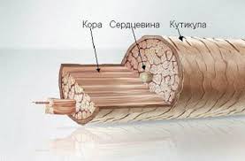 Рецепт фитокомлекса «Лика» стимулирующий рост волос