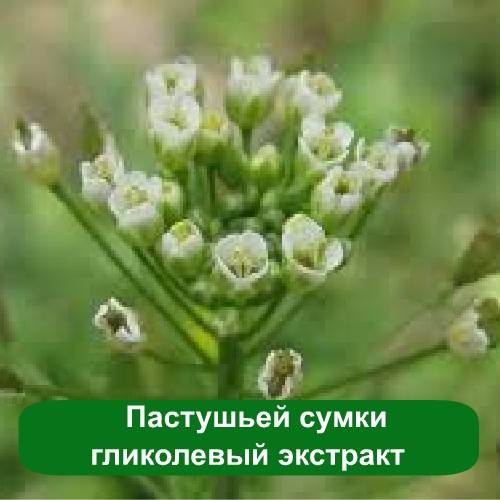 Грициків гліколевий екстракт 1 л Грициків гліколевий екстракт 1 л