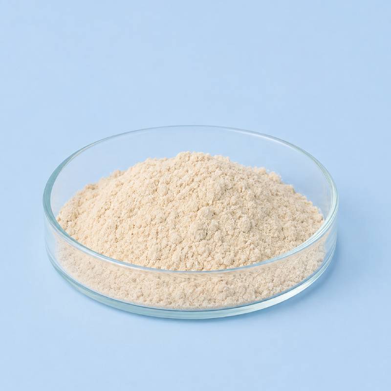 Bix'Activ 1 g — image 1