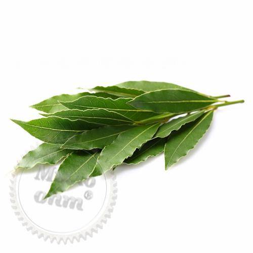 Bay leaf extract 1 L Mylo Opt global supplier Bay leaf extract 1 L cosmetic ingredient Mylo Opt