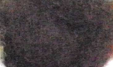 New Zealand Card 218 1 kg Mylo Opt global supplier New Zealand Card 218 1 kg cosmetic ingredient Mylo Opt