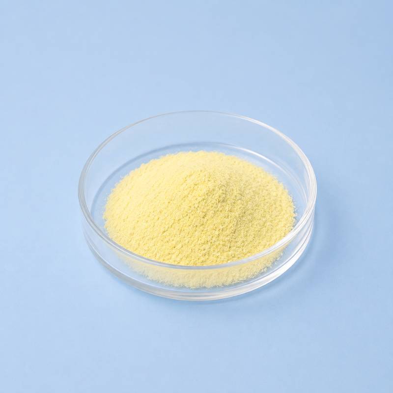 Alpha Lipoic Acid 5 g — image 1