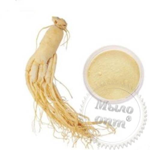 Powder Ginseng Brazilian 1 kg Mylo Opt global supplier Powder Ginseng Brazilian 1 kg cosmetic ingredient Mylo Opt