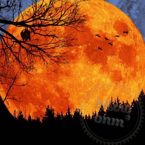 Осенняя Луна Фото