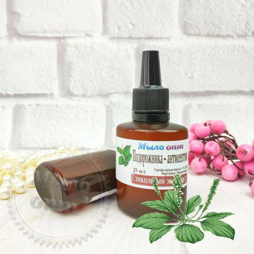 Plantain Glycolic Extract 1 L Mylo Opt global supplier Plantain Glycolic Extract 1 L cosmetic ingredient Mylo Opt