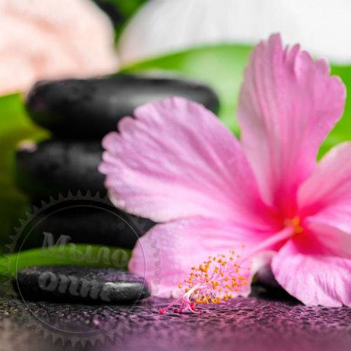 Hibiscus Fragrance Oil 1 L Mylo Opt global supplier Hibiscus Fragrance Oil 1 L cosmetic ingredient Mylo Opt