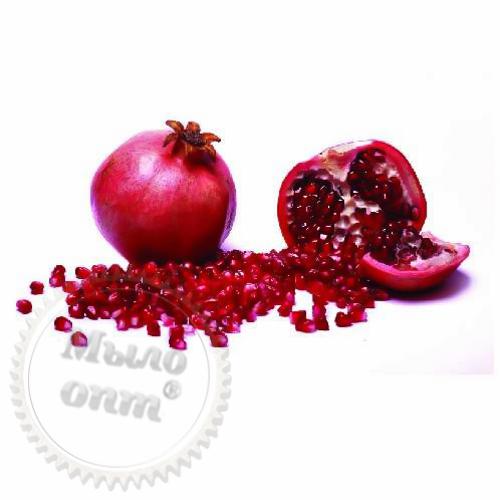 Ellagic acid 40% 5 g Mylo Opt global supplier Ellagic acid 40% 5 g cosmetic ingredient Mylo Opt