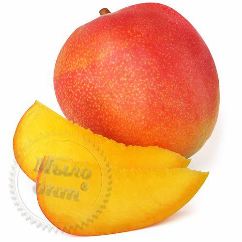 Flavor for dairy products Mango, 1 L, 891.31 UAH, rating ⭐⭐⭐⭐⭐ Milo Opt