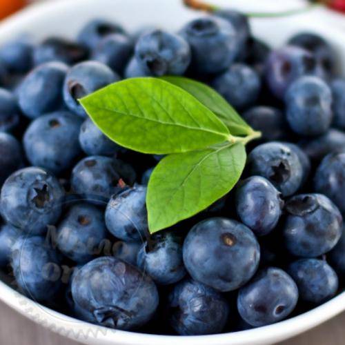 Flavoring food Fresh Picked Blueberry, 1 L Mylo Opt global supplier Flavoring food Fresh Picked Blueberry, 1 L cosmetic ingredient Mylo Opt