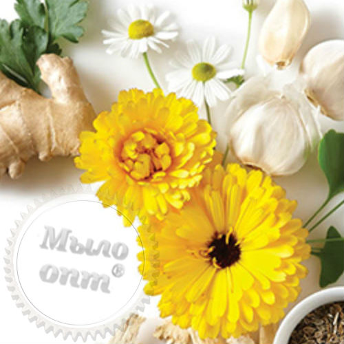 Herbal Fragrance Oil 1 L Mylo Opt global supplier Herbal Fragrance Oil 1 L cosmetic ingredient Mylo Opt