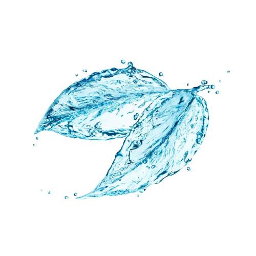 HYDAGEN Aquaporin 1 L Mylo Opt global supplier HYDAGEN Aquaporin 1 L cosmetic ingredient Mylo Opt