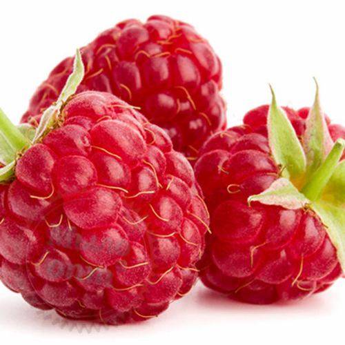 Ароматизатор для молочных продуктов Малина, 1 литр