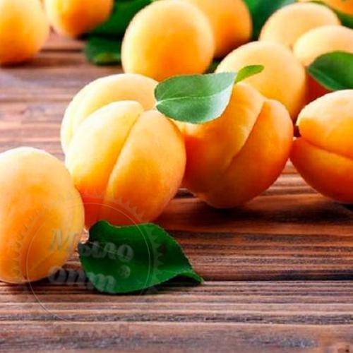 Ароматизатор для молочных продуктов Абрикос, 1 литр