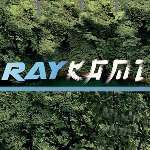 RAYKAMI PDO 1 л RAYKAMI PDO 1 л