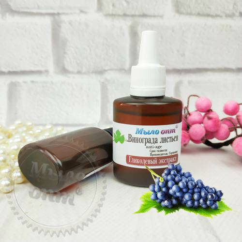 Grape Leaf Glycolic Extract 1 L, 207.69 UAH, rating ⭐⭐⭐⭐⭐ Milo Opt