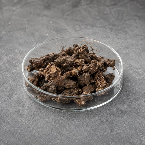 White cinquefoil - roots with rhizomes 1 kg Mylo Opt global supplier White cinquefoil - roots with rhizomes 1 kg cosmetic ingredient Mylo Opt