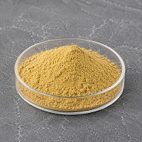 Экстракт Прутняка 10% сухой, 1 кг артикул K50267