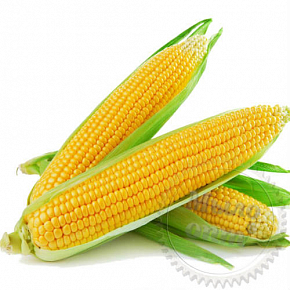 Купить Ароматизатор для слаймов Кукуруза, 1 л в Украине