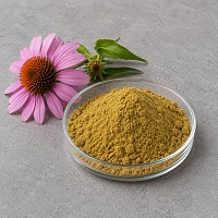 Echinacea Extract Powder 10% 1 kg cosmetic ingredient Mylo Opt