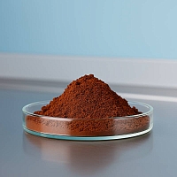 Chaga Powder 100 g cosmetic ingredient Mylo Opt