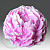 Silicone mold 3D Peony, photos, reviews, use