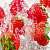 Fragrance Oil Strawberry with Ice, 1 liter, photos, reviews, use