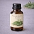 Plantain Glycolic Extract 1 L cosmetic ingredient Mylo Opt