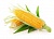 Food Flavoring Corn, 1 Liter, photos, reviews, use