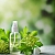 Lovage Hydrosol 1 L cosmetic ingredient Mylo Opt