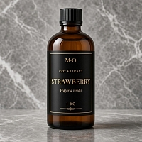 Strawberry Fruit CO2 Extract 1 kg