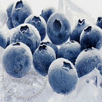 Fragrance Oil Blueberry with ice, 50 ml