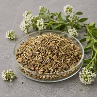 Dried flowers Fragrant woodruff 1 kg cosmetic ingredient Mylo Opt