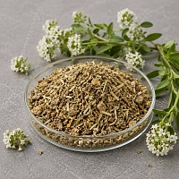 Dried flowers Fragrant woodruff 1 kg cosmetic ingredient Mylo Opt