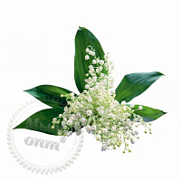 Lori Lily of the Valley Fragrance Oil, 1 liter