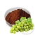 Grape Seed Powder 1 kg cosmetic ingredient Mylo Opt