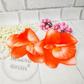 Купить Бутон Орхидеи коралово розовый в Украине