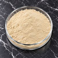 Garlic Extract Powder 15 1 kg cosmetic ingredient Mylo Opt