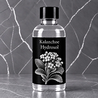 Kalanchoe Hydrosol 1 L cosmetic ingredient Mylo Opt