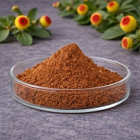 Екстракт Акмели 10% сухий, 100 гр