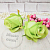 Rose Flower Light Green, photos, reviews, use