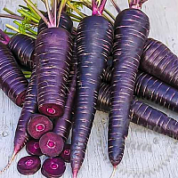 Purple Carrot Powder, 100 gr