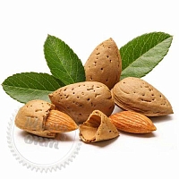 Food Flavor Almond 1 L cosmetic ingredient Mylo Opt