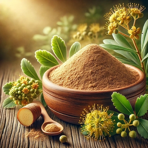 Экстракт Радиолы сухой, 1 кг