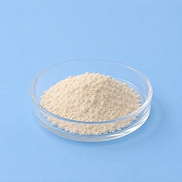 Soy Isoflavones 100 g cosmetic ingredient Mylo Opt