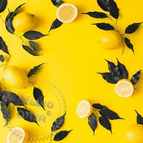Купить Отдушка Лояльный лимон, 100 мл в Украине