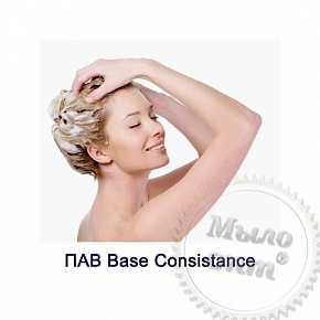 Купить ПАВ Base Consistance, 1 кг в Украине