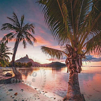 Fragrance Oil Sunset in Tahiti, 50 ml