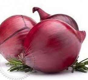 Купить Red onion extract ( Ред онион экстракт ), 1 л в Украине