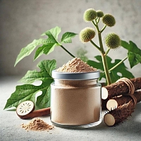 Burdock Root Extract Powder 5 g