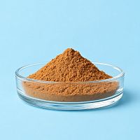 Кислота эллаговая 40%, 5 гр артикул TM19021403